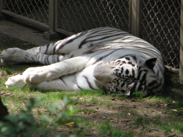 20100206 509.JPG